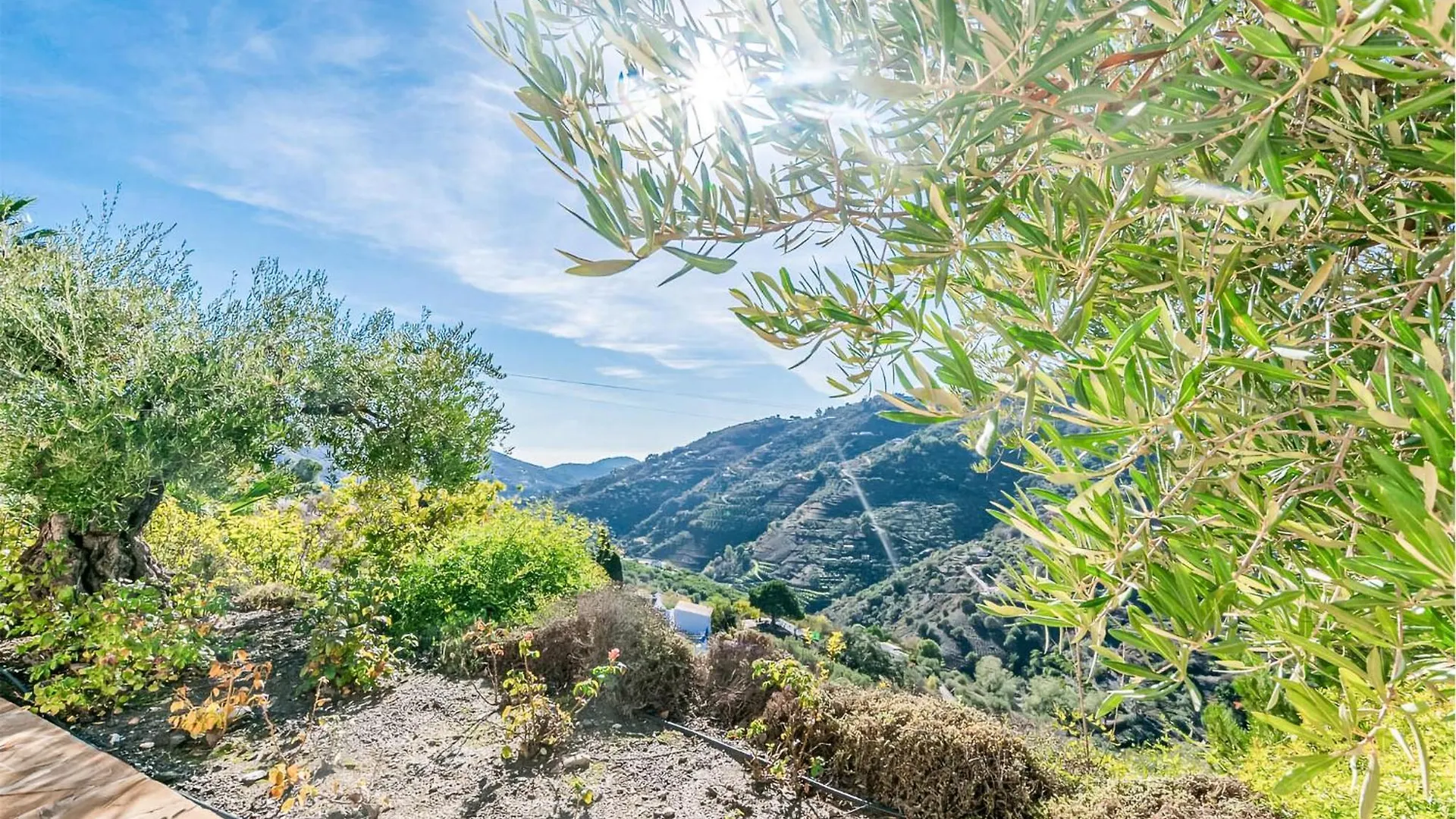 Cortijo De La Abuela Villa Competa Holiday home